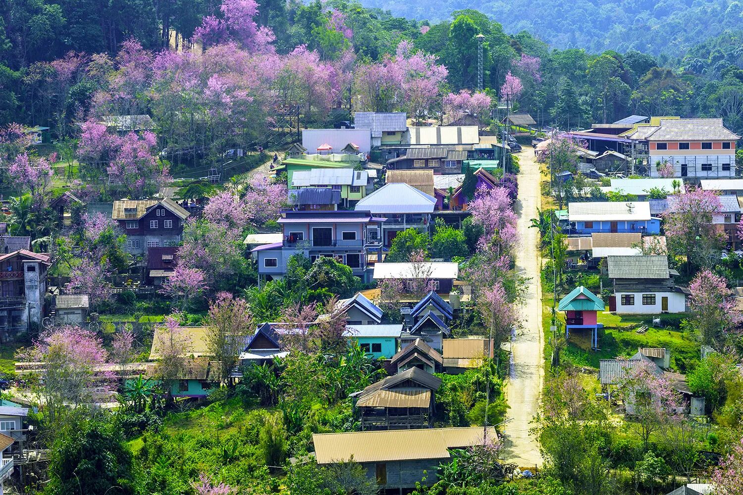 Phitsanulok Super awesome Village, Thailand